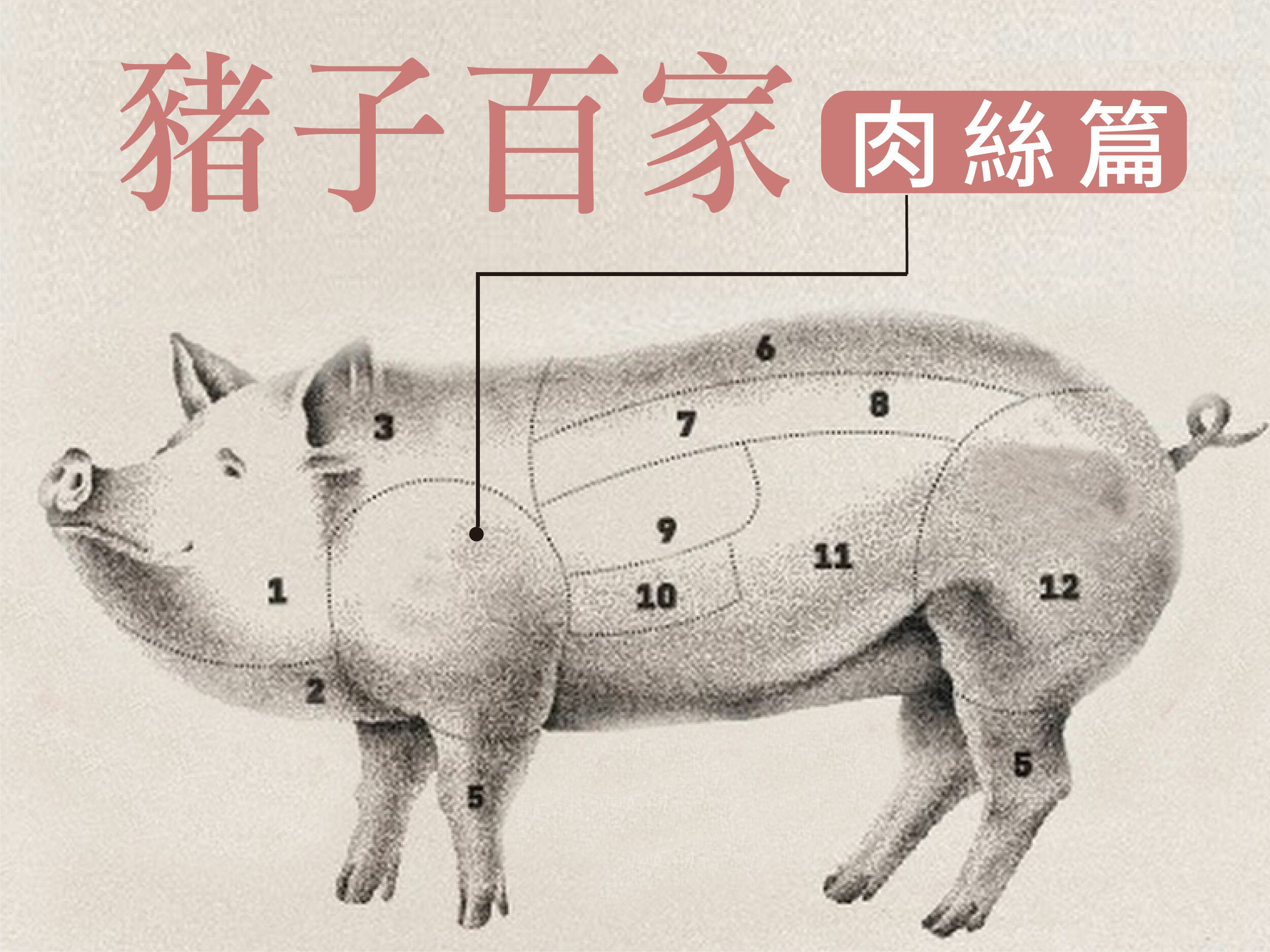 肉絲多汁秘訣_豬子百家
