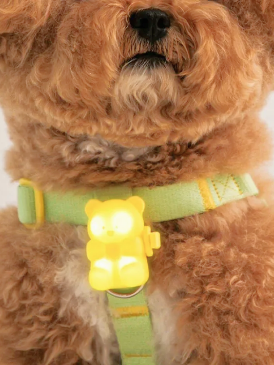 【韓國 BiteMe】閃閃熊 LED散步燈｜可充電式