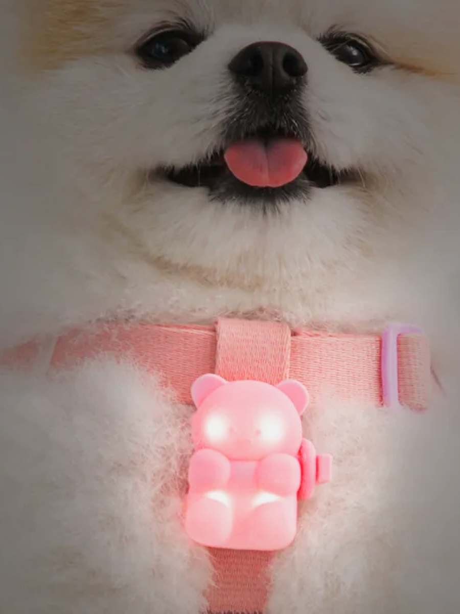 【韓國 BiteMe】閃閃熊 LED散步燈｜可充電式