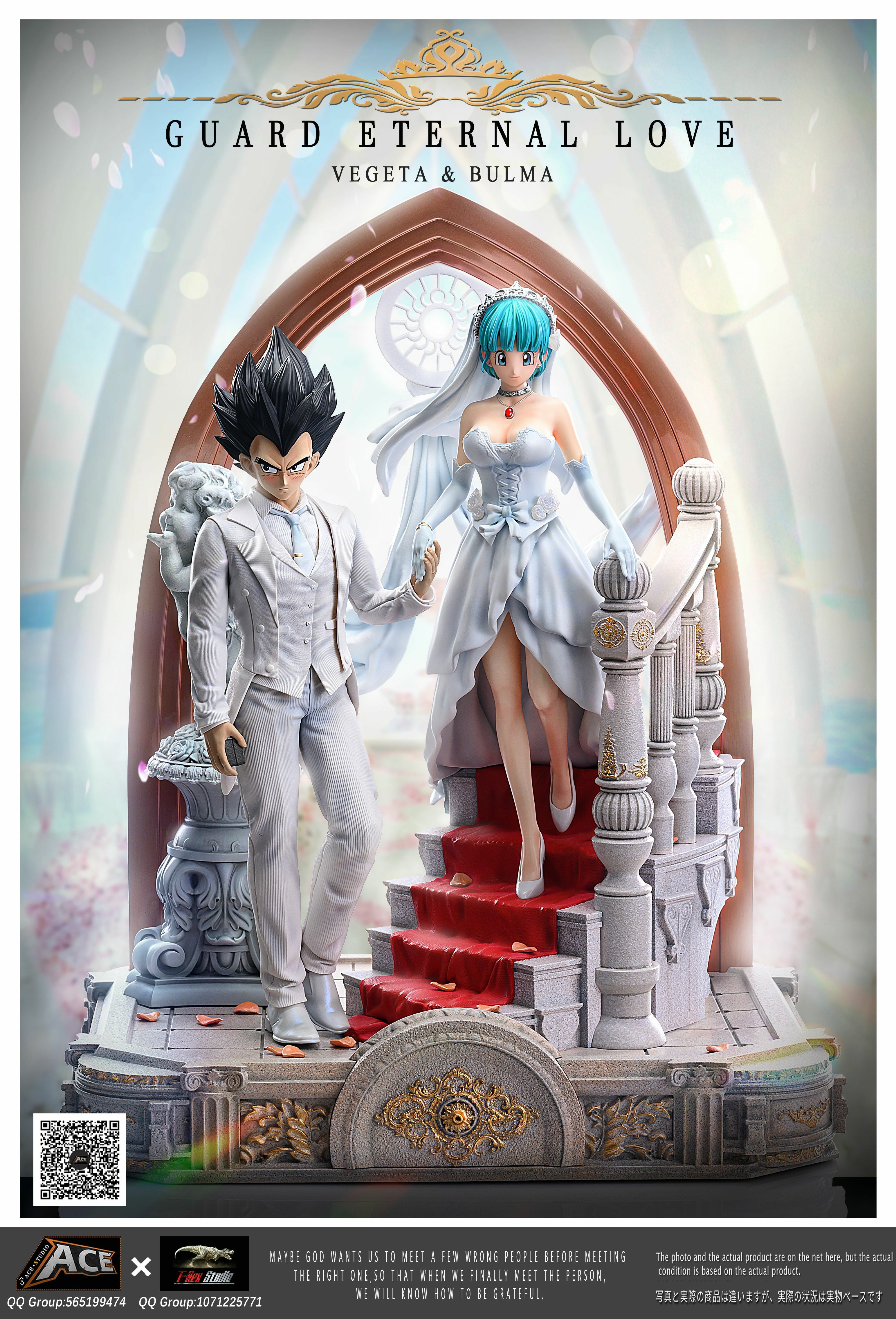 現貨GK ACE聯名暴龍社 ACE Studio × T-Rex Studio Dragon Ball 龍珠 龍珠之戀 比達&莊子 貝吉塔&布瑪