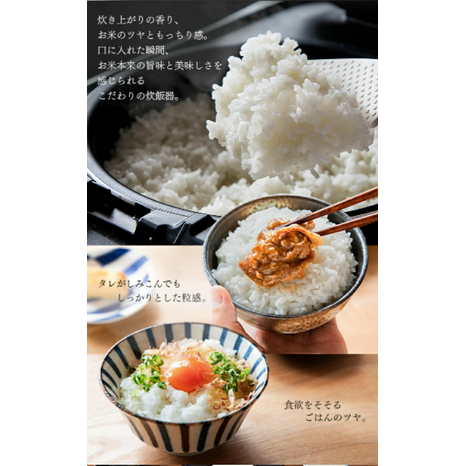 IRIS OHYAMA- RC-PD50 電飯煲