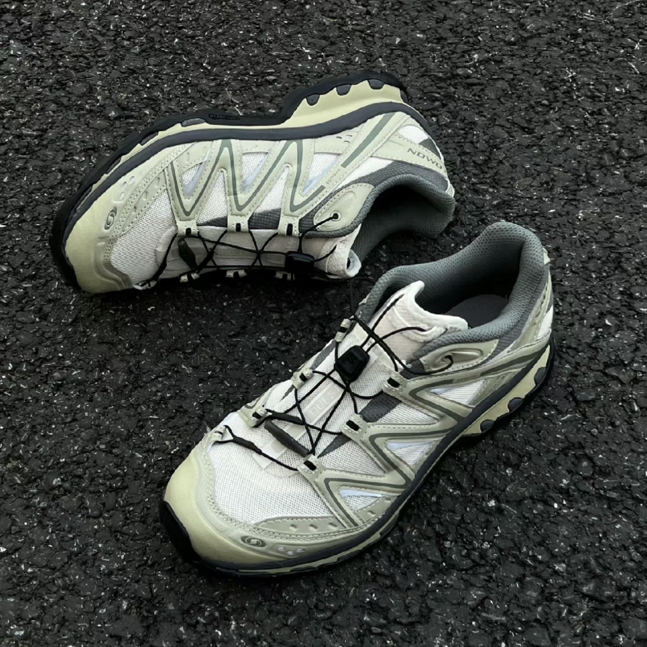 預訂| Salomon XT-Quest ADV 鼠尾草綠