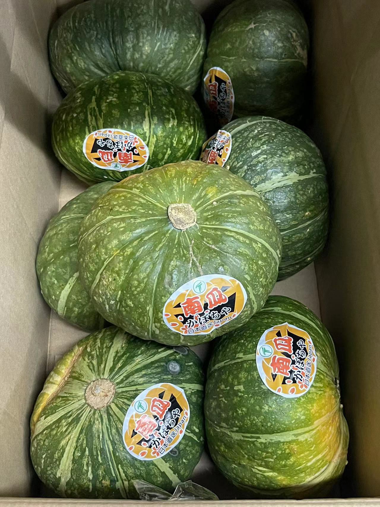 日本南瓜   (個)