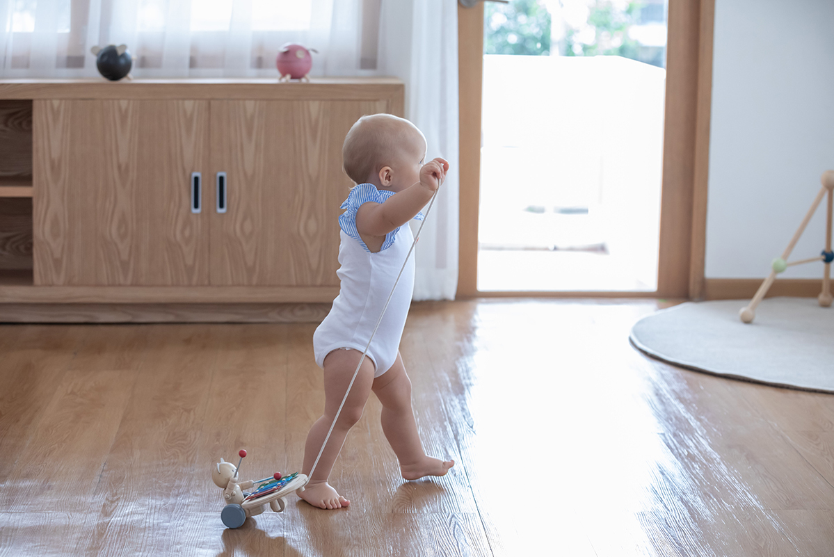 PlanToys 小熊演奏家拉車