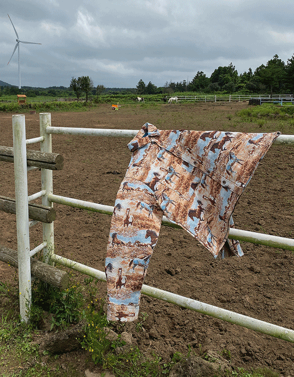 西部提花馬銜扣短款夾克