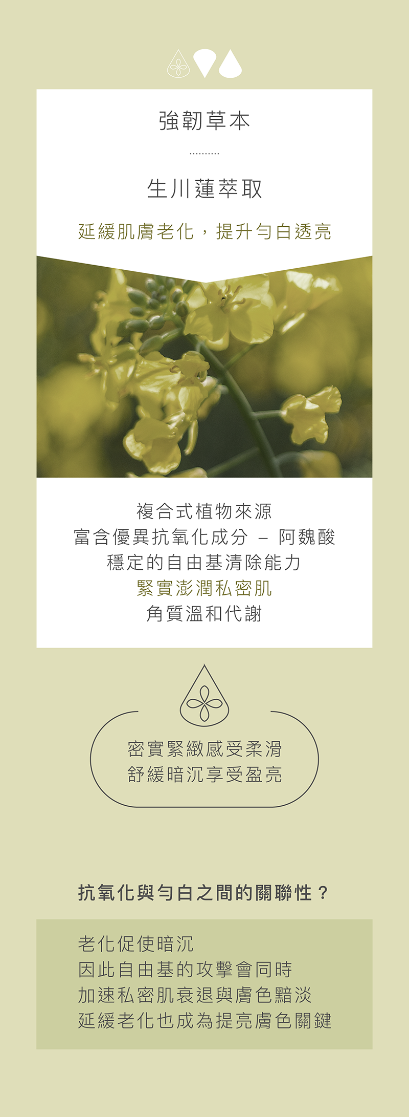 love dear-私密精華-保濕液