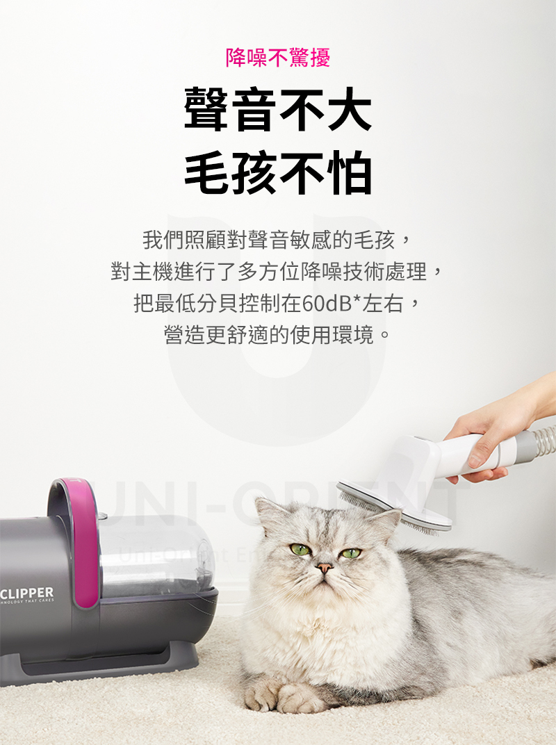 CLIPPER  CARES降噪不驚擾聲音不大毛孩不怕我們照顧對聲音敏感的毛孩,對主機進行了多方位降噪技術處理,把最低分貝控制在60dB*左右,營造更舒適的使用環境。