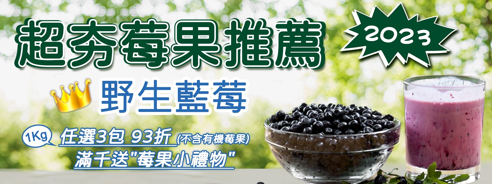 🏆2023超夯莓果推薦！ 野生藍莓 NO.1 ∣ 天時莓果