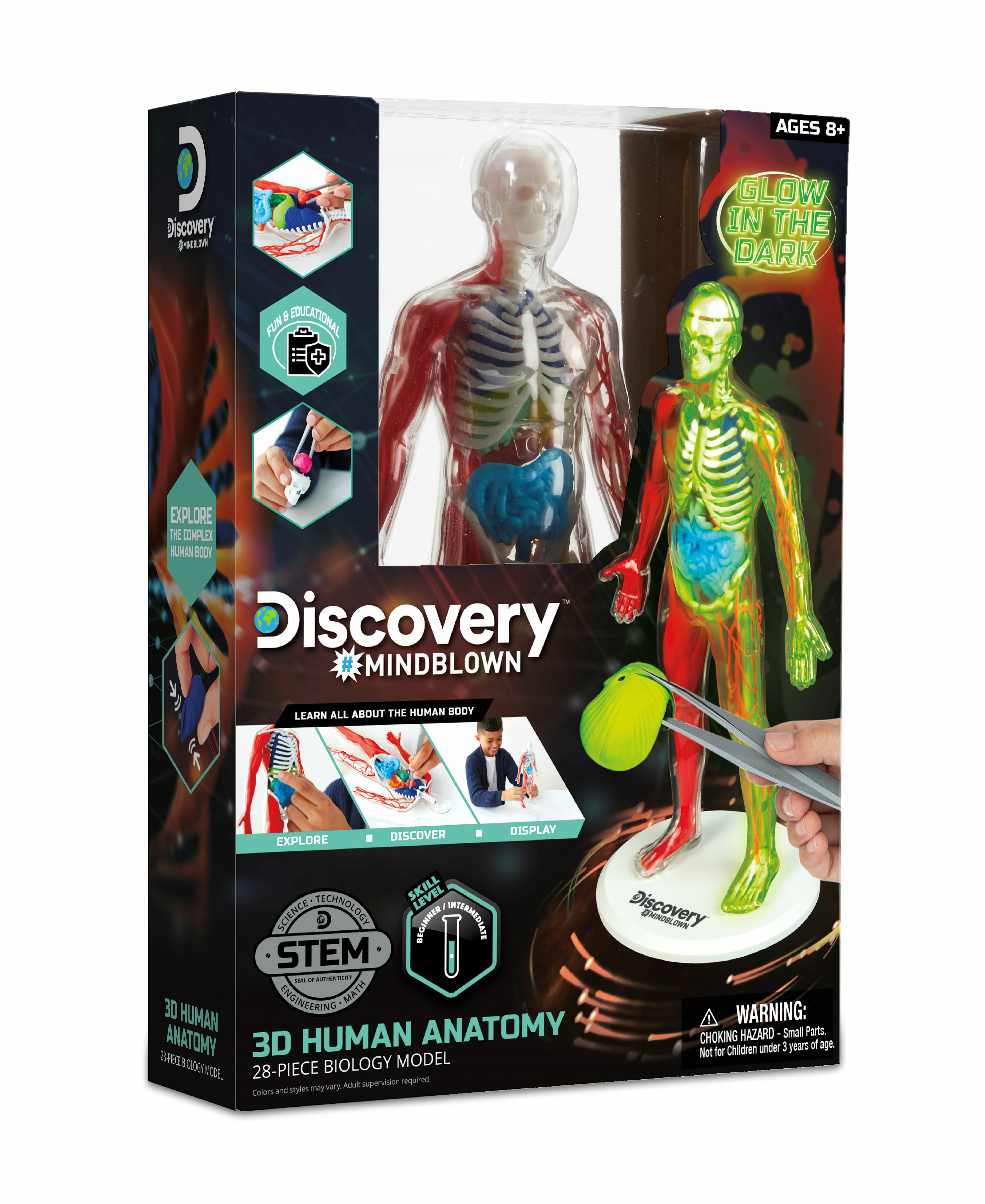 熱銷預購 【美國 Discovery】夜光版人體探索3D拼圖 (28件組)
