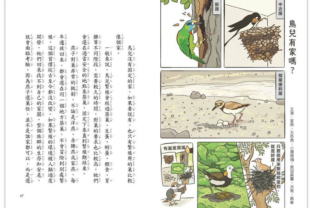 就愛鳥事一籮筐：鳥兒趣問妙答