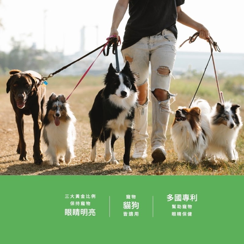 pierce pet, 皮爾斯, 寵物, 寵物保健, 寵物保健品, 葉黃素, 山桑子, 枸杞精粉, 玉米黃素, 美國專利, 德國專利, 瑞士專利, 眼睛保健, 護眼, 寵物護眼