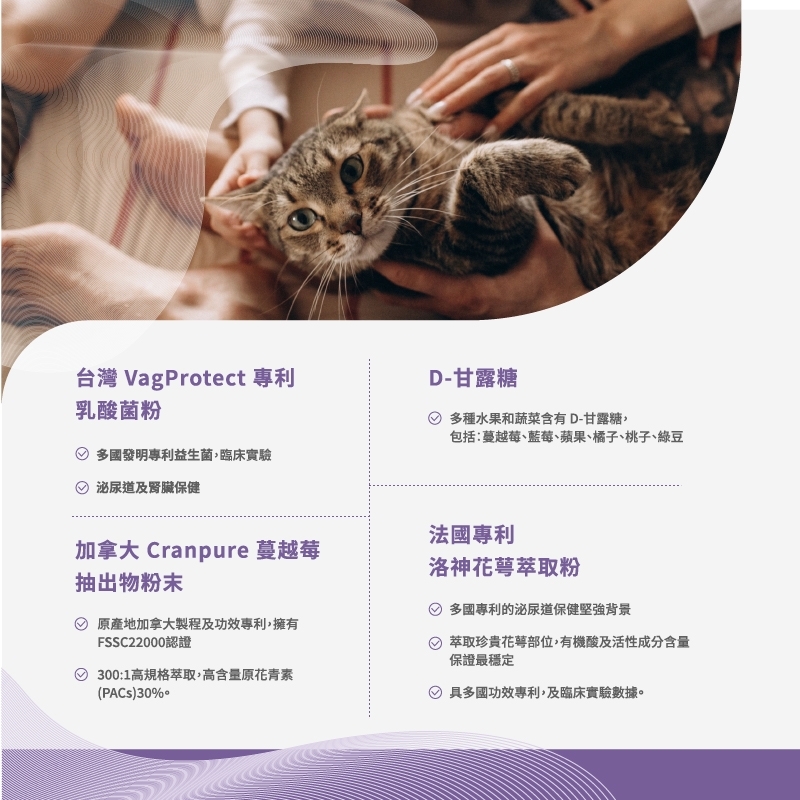 pierce pet, 皮爾斯, 寵物, 寵物保健, 寵物保健品, 乳酸菌粉, D-甘露糖, 洛神花萼萃取粉, 蔓越莓, 泌尿道, 腎臟, 狗狗血尿