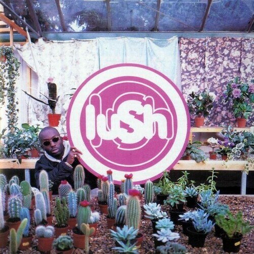 Lush《Lovelife (2023 Remaster) 》（LP）