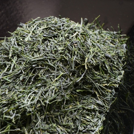 Horii Shichimeien Gyokuro Meigyoku [Competitive Grade]