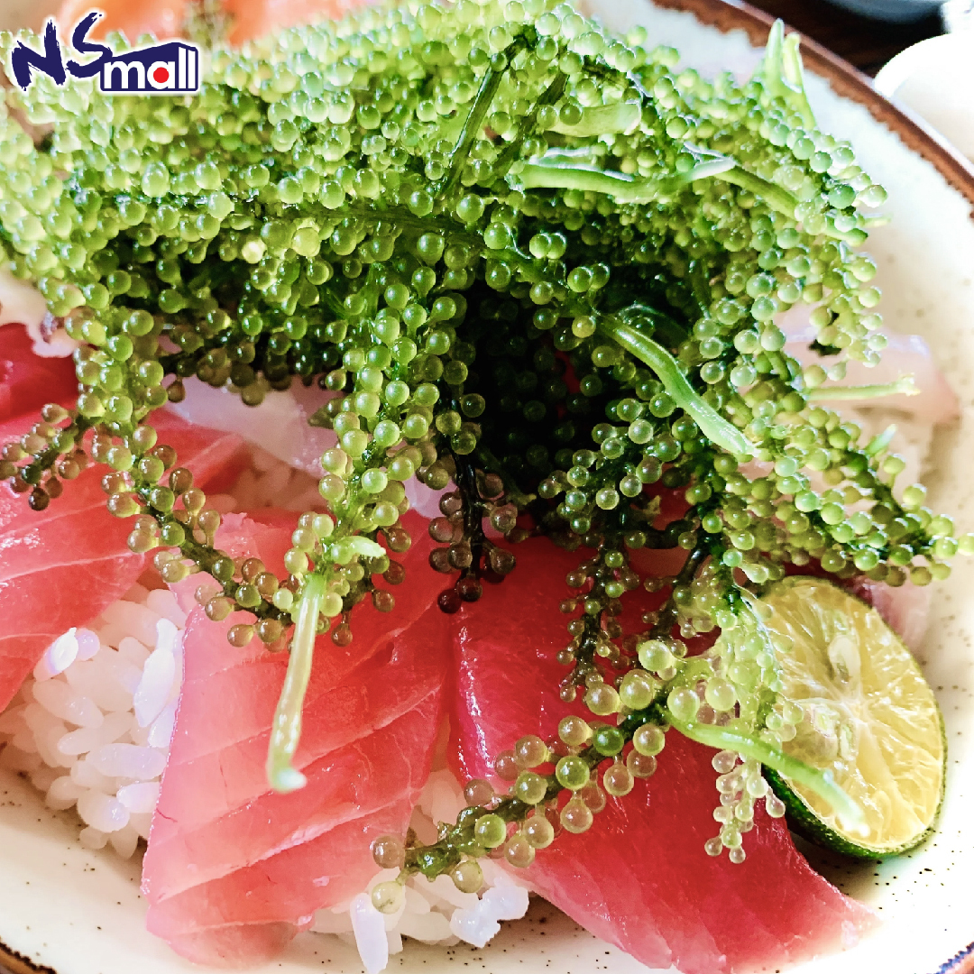 海葡萄 約100g/盒