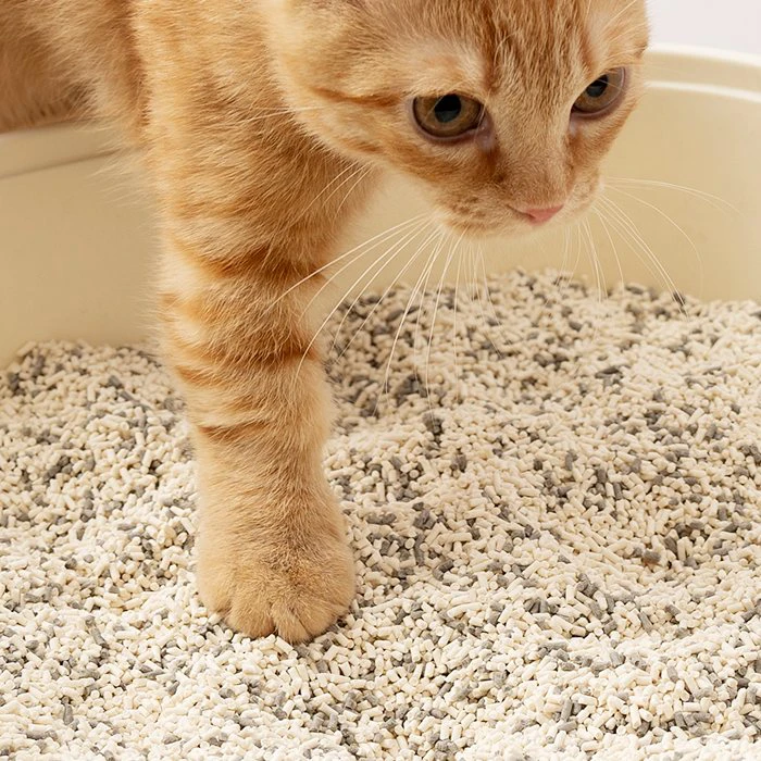 DogCatStar Enviro-Probiotics Short Strip Tofu Cat Litter 7L