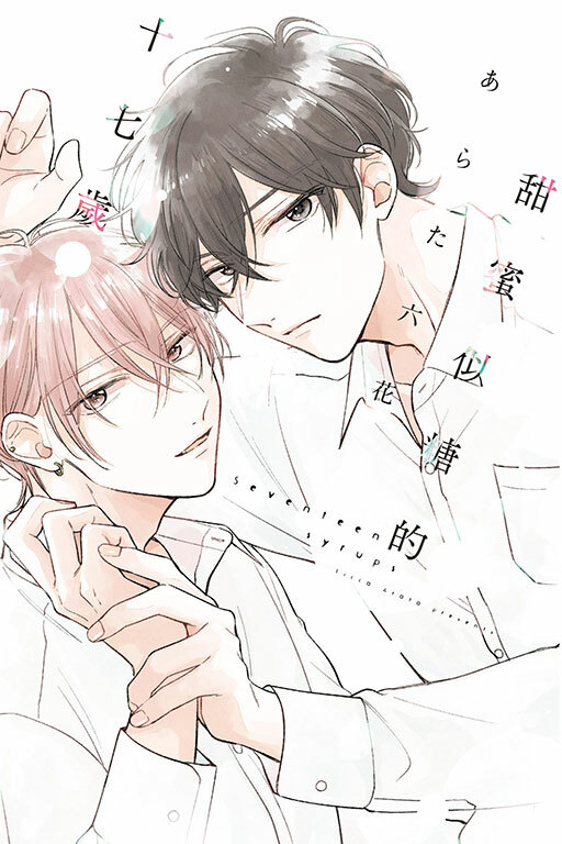 甜蜜似糖的十七歲