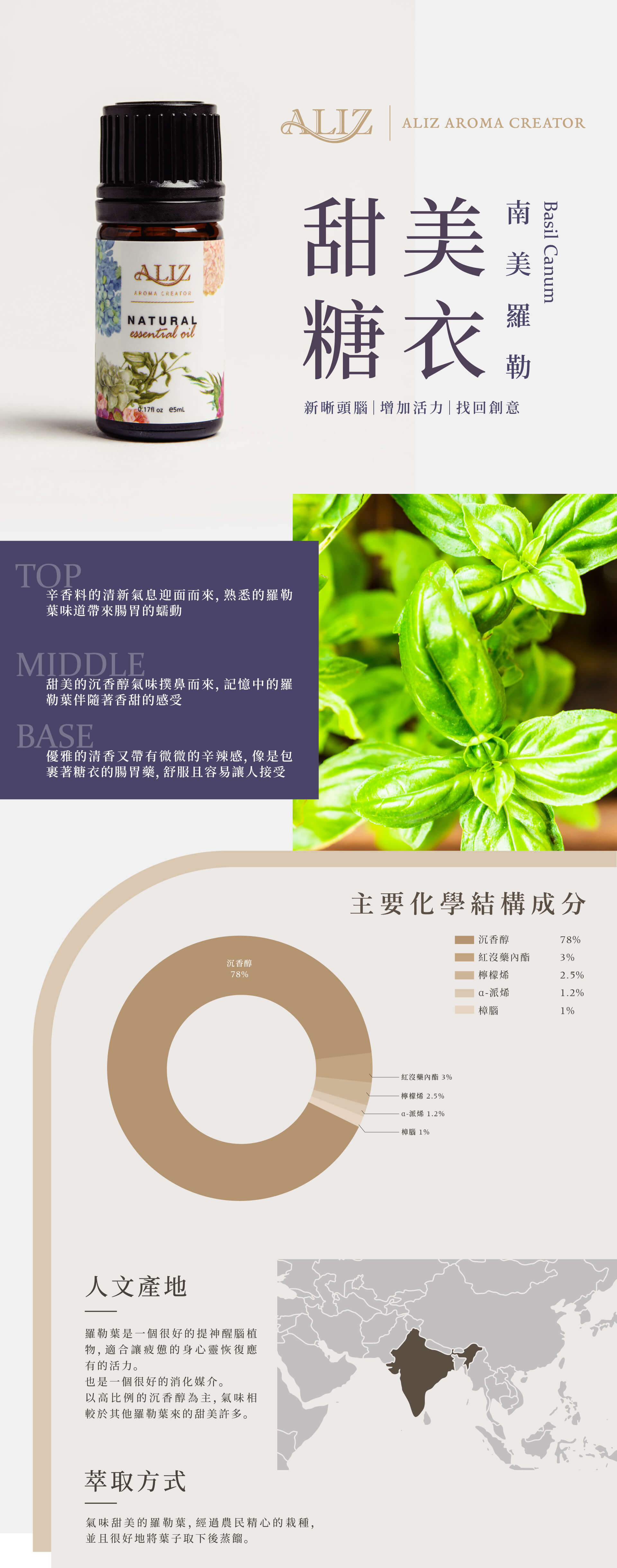 南美羅勒產品資訊