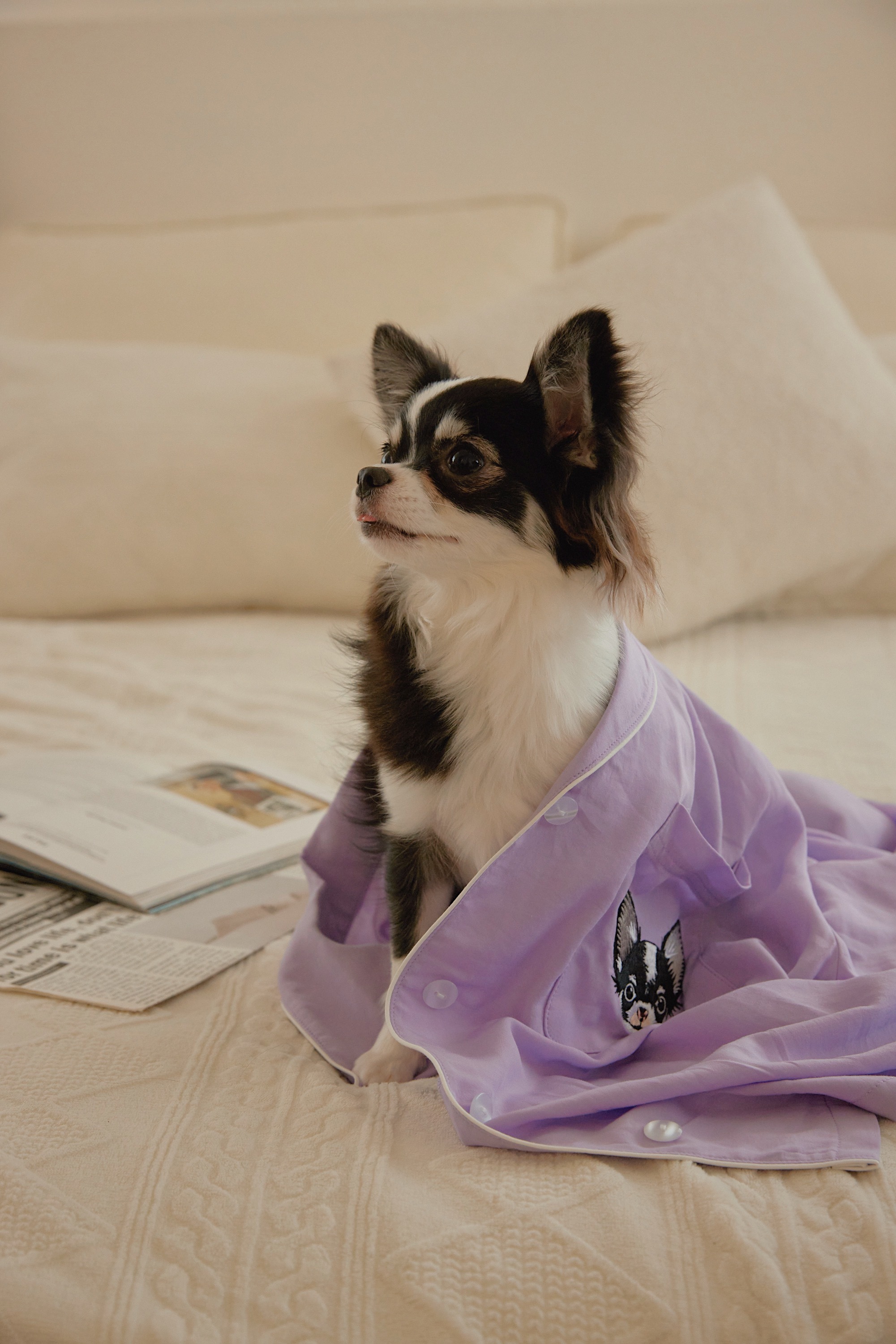 泰拉聯名 泰吉泰利居家服套裝－Heres to Love