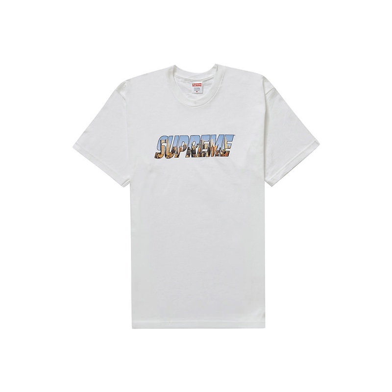 Supreme Gotham Tee White FW23T11-WE [台灣現貨]