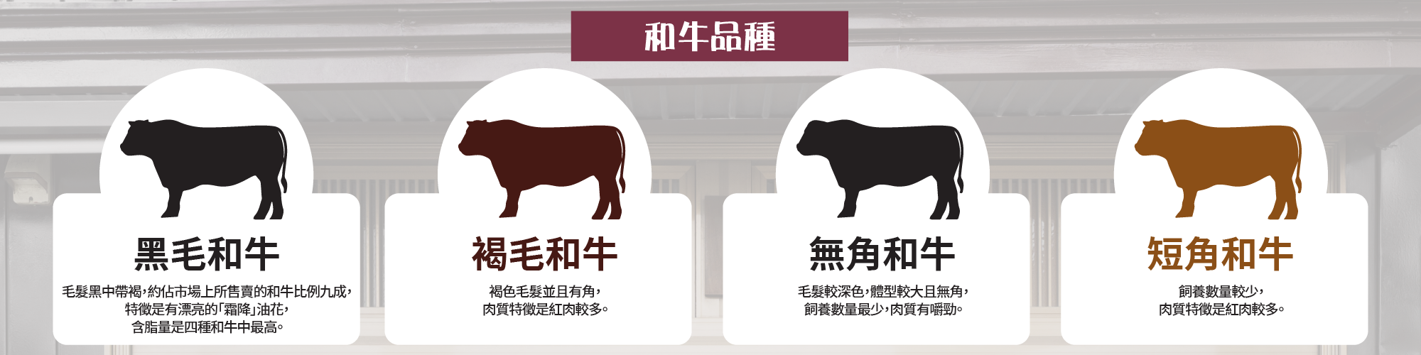 包括黑毛和牛在內的和牛定義
