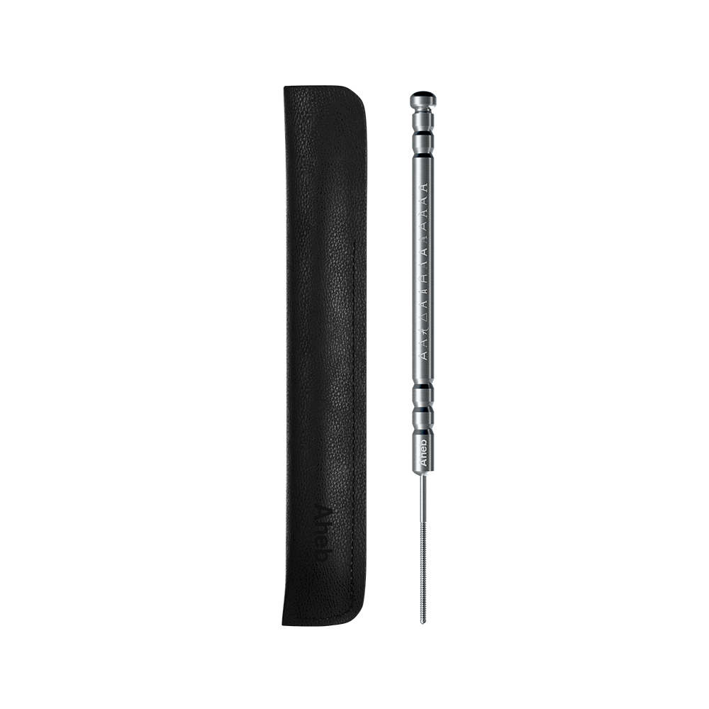 Aheb Chrome Stick & Leather Case