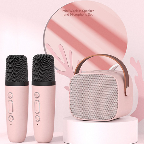 LEBO 無線雙咪藍牙音箱