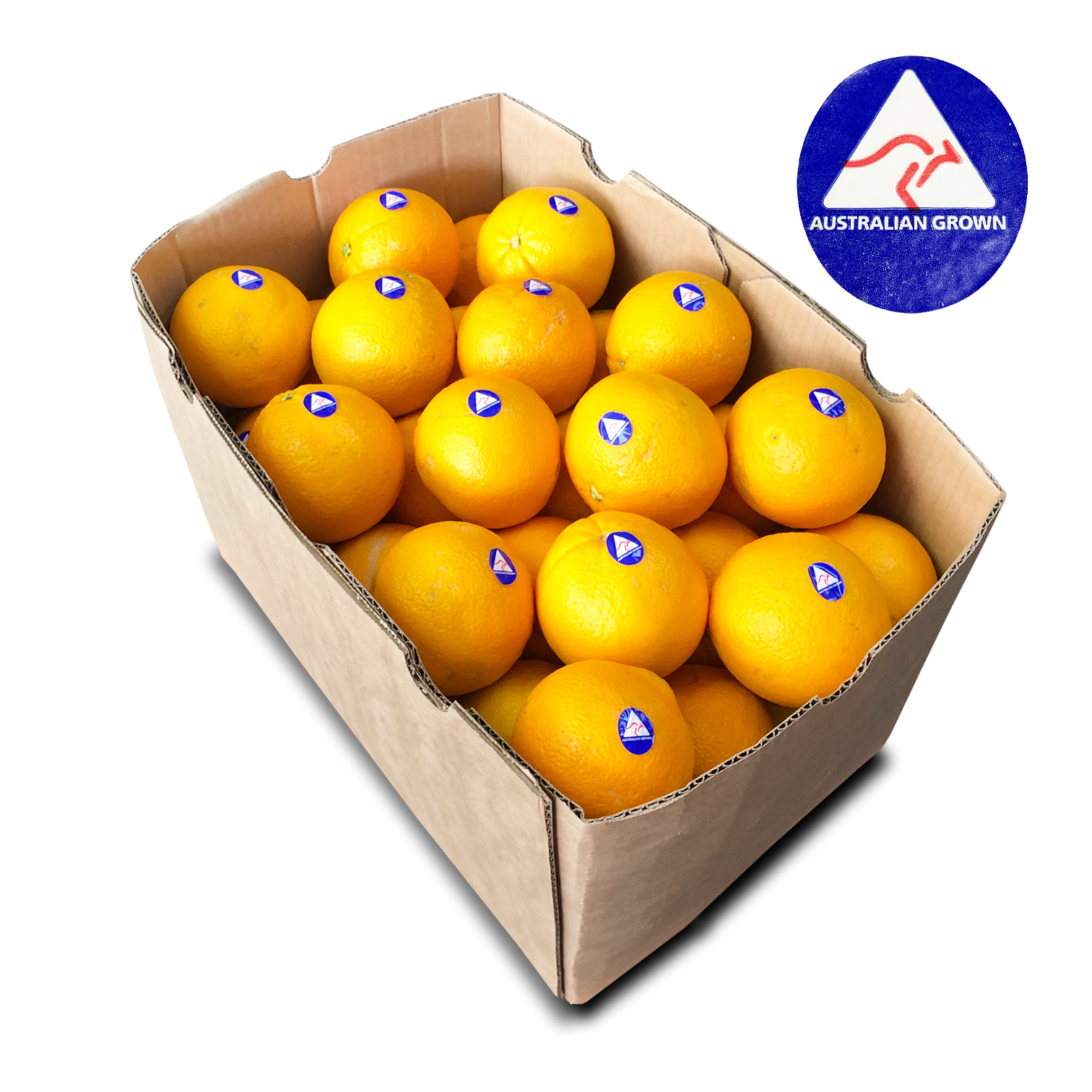 澳洲 甜橙 [原箱水果50-56個]