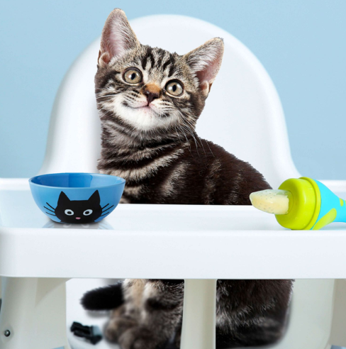 Fromm Cat Gold Kitten  Chicken & Salmon．4lb/10lb