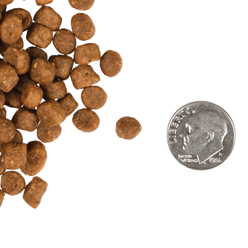 Fromm Adult Gold Dry Cat Food  Chicken & Salmon．4lb/10lb