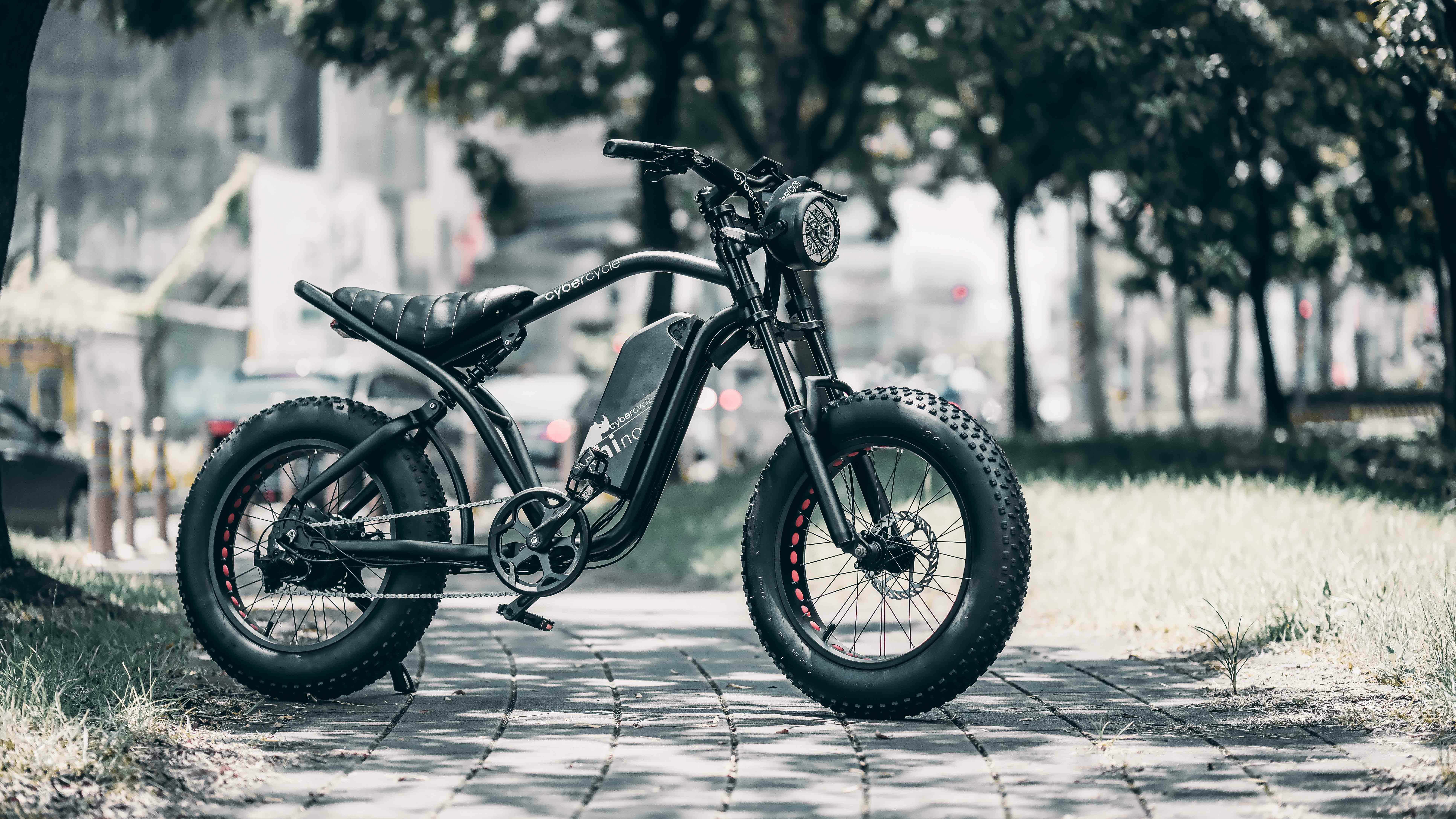 CYBERCYCLE RHINO 犀牛 電動輔助自行車/胖胎車