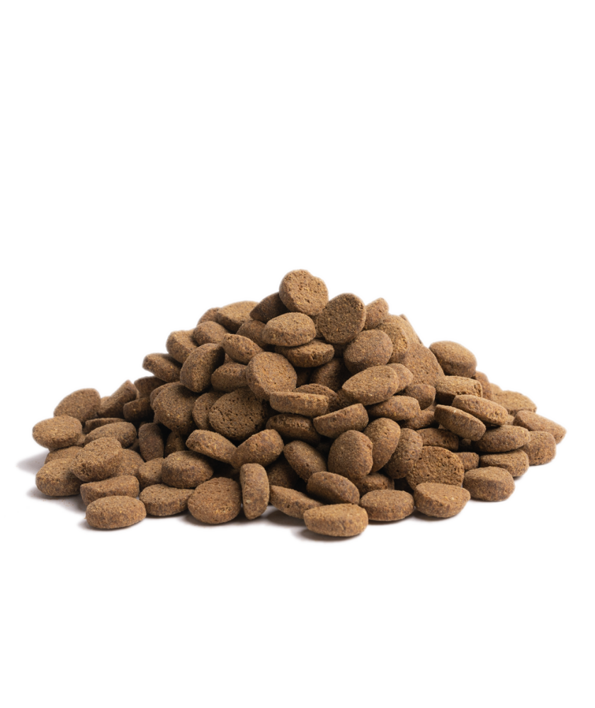 易膳寵食 長青 (大粒) 10KG [Older]