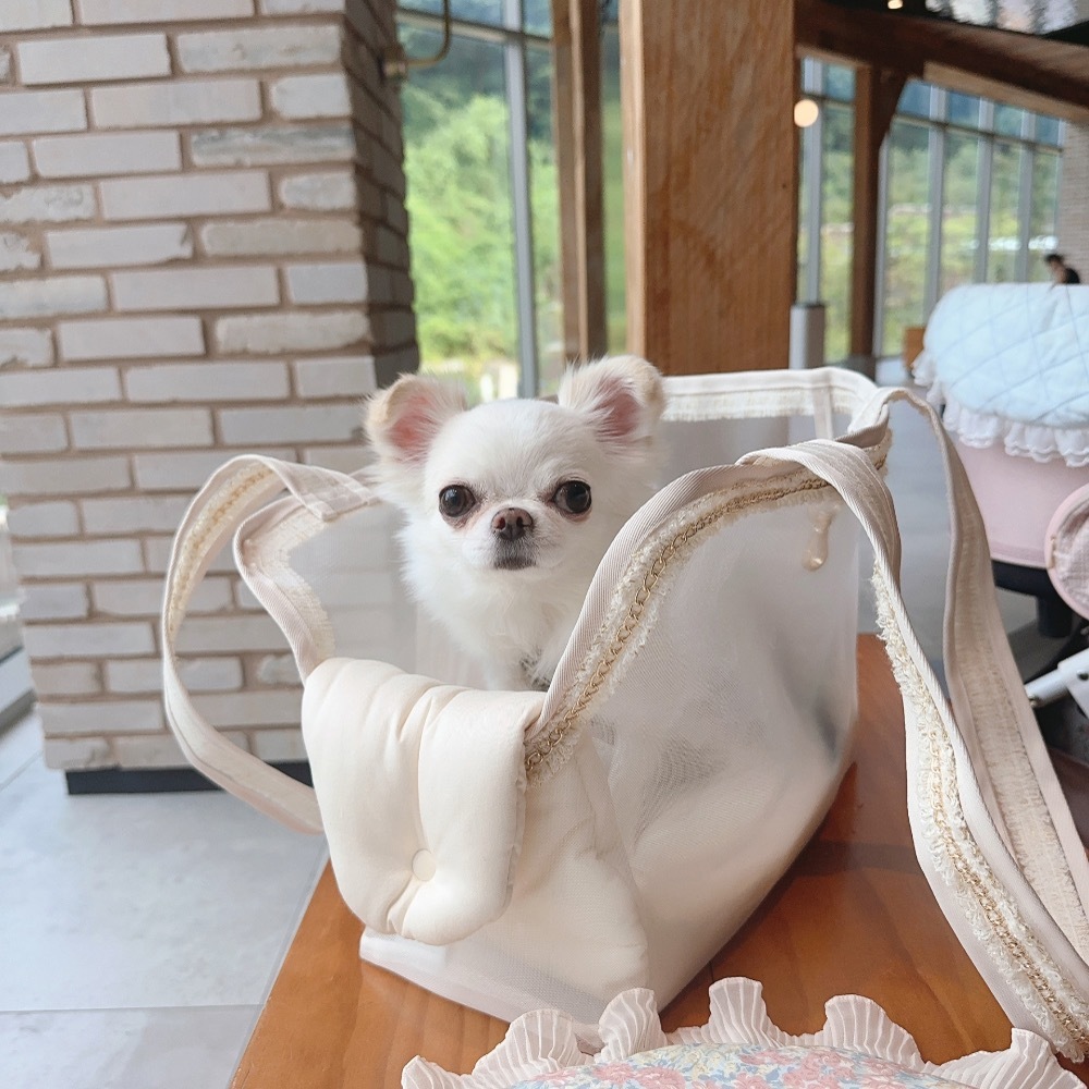 Raffine Mong mesh dream bag