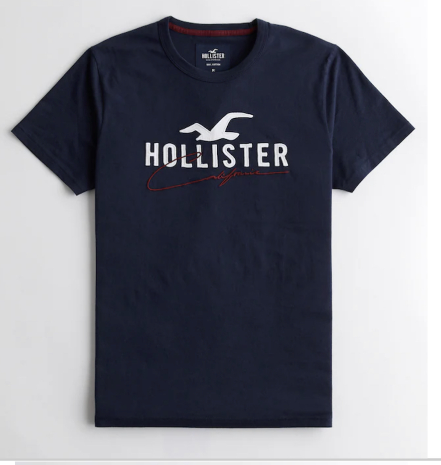 Hollister 海鷗 草寫字母大Logo 短袖上衣 短T
