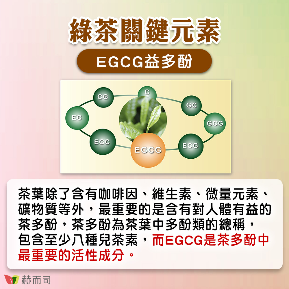 【赫而司】CA-200V二代專利薑黃益多酚 綠茶關鍵元素EGCG益多酚，茶葉除了含有咖啡因、維生素、微量元素、礦物質等外，最重要的是含有對人體有益的茶多酚，茶多酚為茶葉中多酚類的總稱，包含至少八種兒茶素，而EGCG是茶多酚中最重要的活性成分