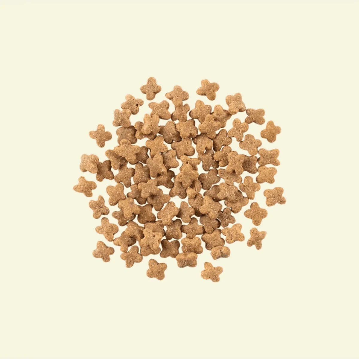 NOW FRESH! 無穀物小型成犬配方 - 火雞，三文魚，鴨肉 12LB