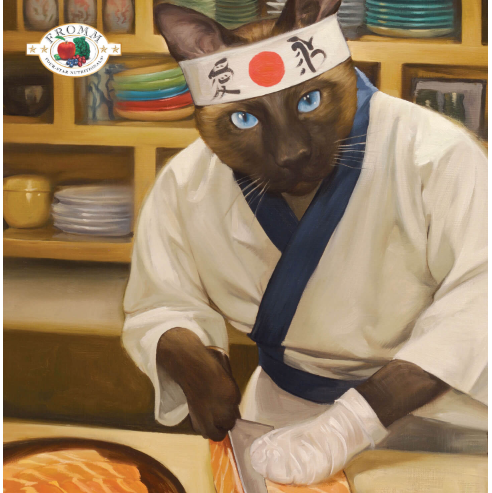 Fromm Grain Free Dry Cat Food  Surf and Turf Recipe．4lb/10lb