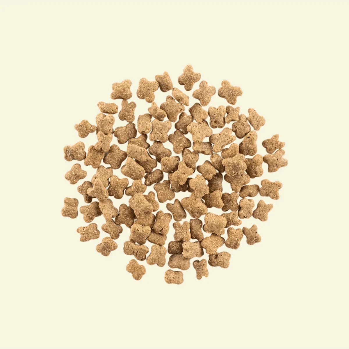 NOW FRESH! 無穀物小型老犬配方 - 火雞，三文魚，鴨肉