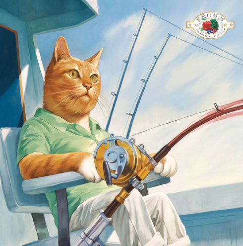 Fromm Grain Free Dry Cat Food  Salmon Tunachovy Recipe．4lb/10lb