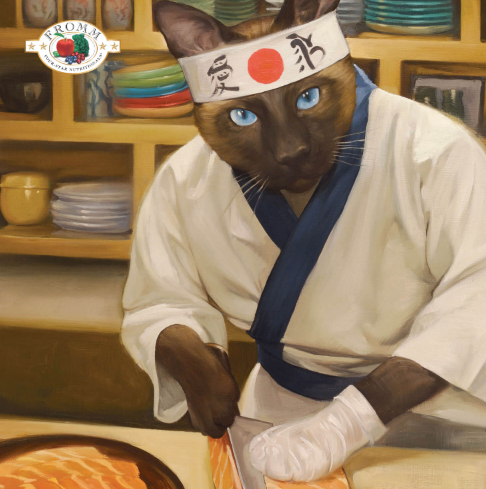 Fromm Dry Cat Food  Salmon Vegetable Recipe．4lb/10lb