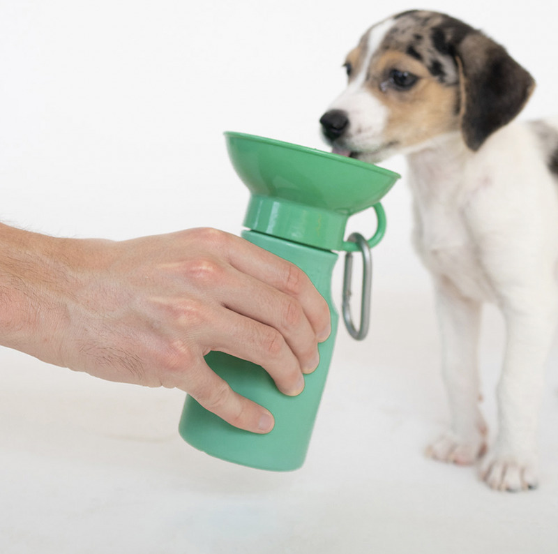美國 Springer - 寵物經典外出水壺 450ml