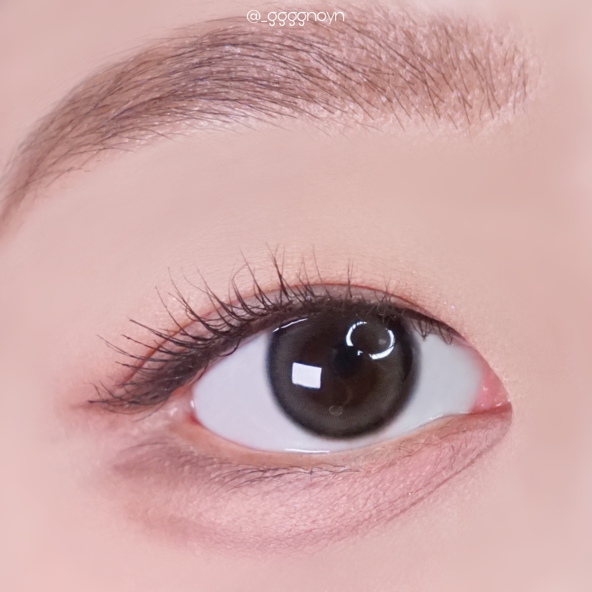 [半年拋][散光] Lensme Torica WATERRING 6 Month Hidden Gray 隱形眼鏡｜1片