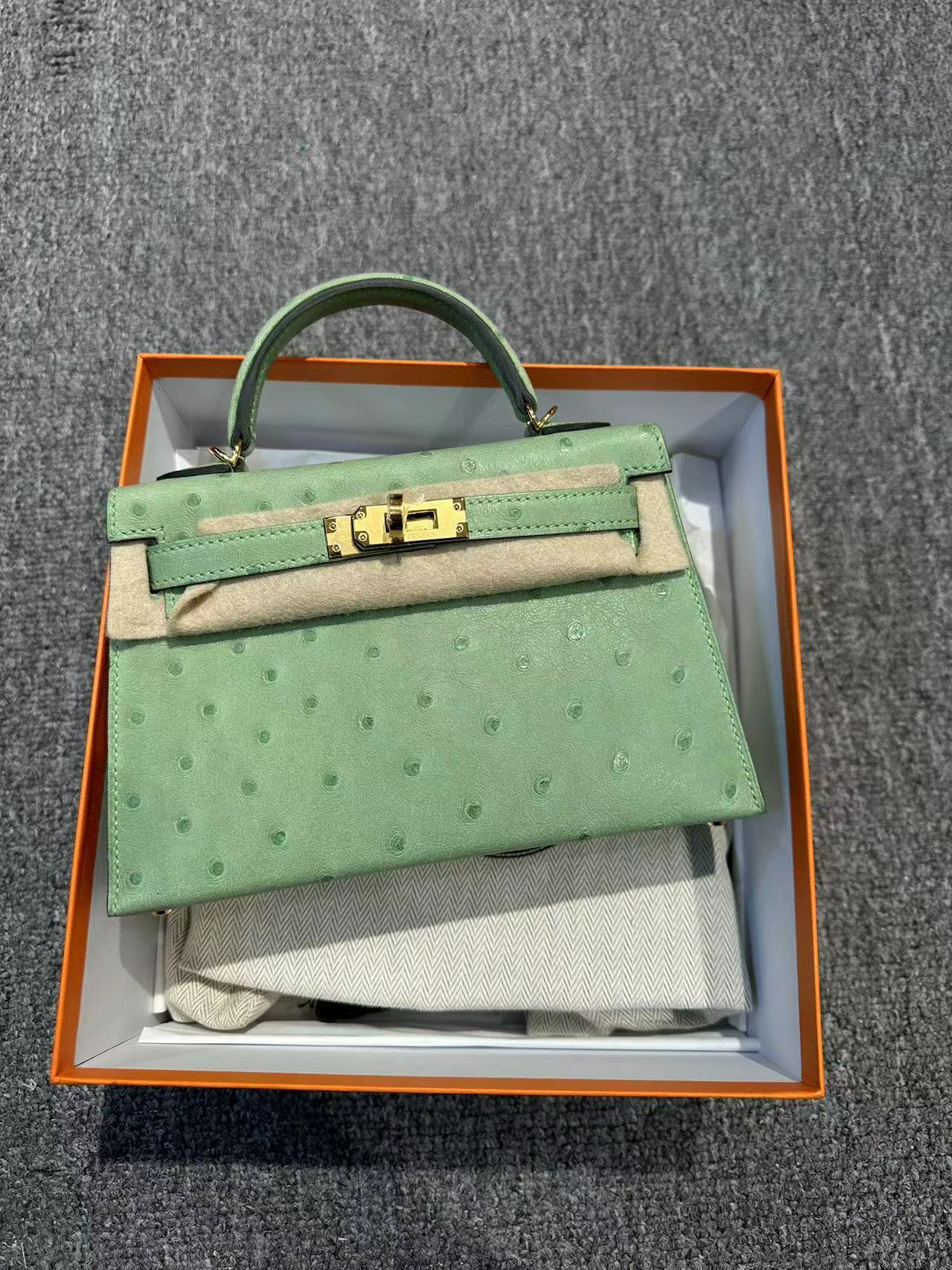 MINI kelly Ⅱ 3I色 u年 -T