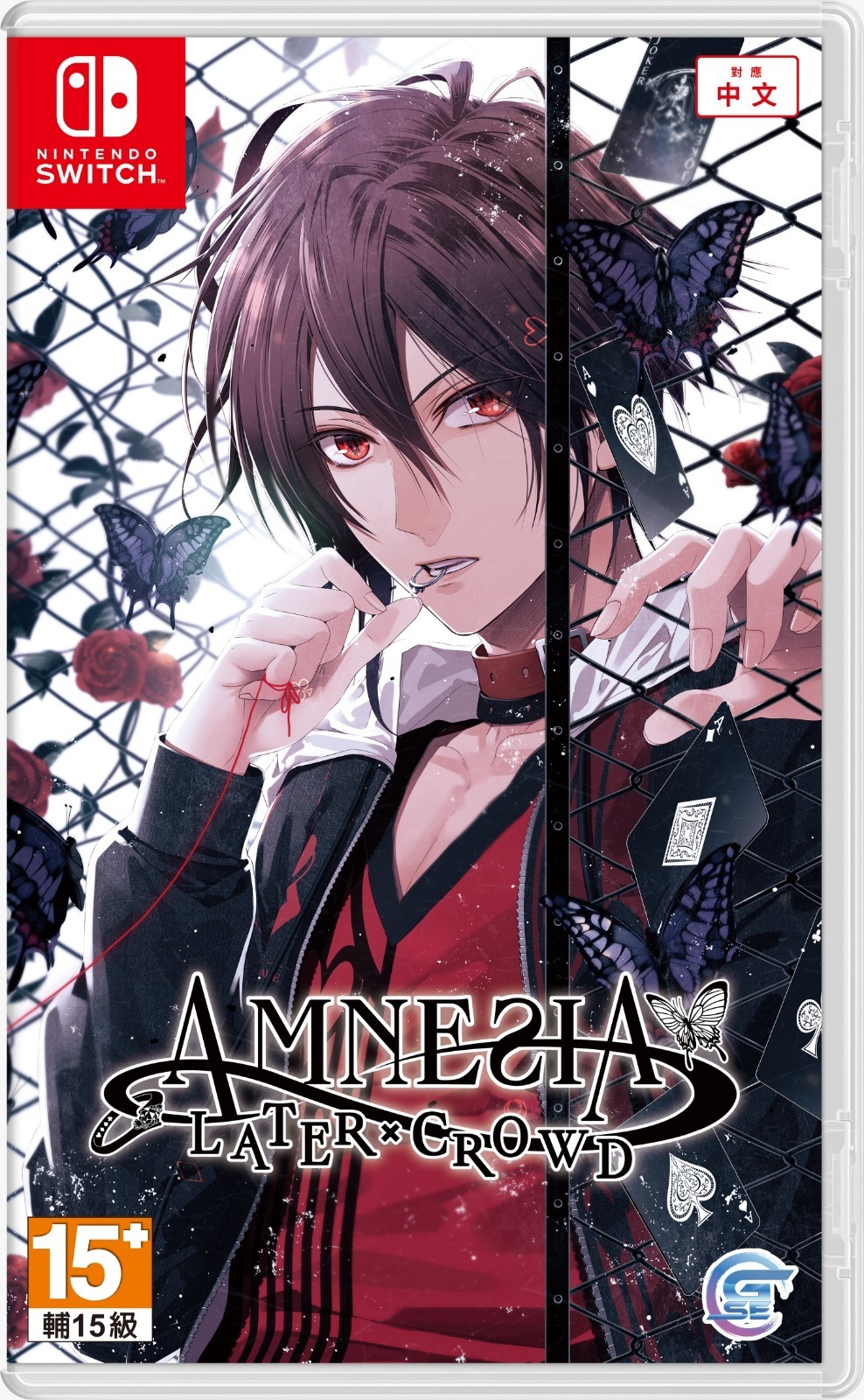 Switch Amnesia: Later x Crowd