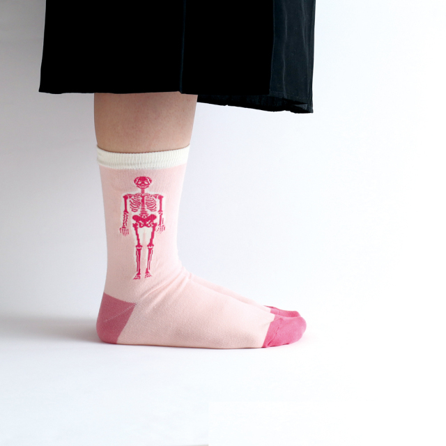 人類生物學 襪子 ｜日本STUDY HOLIC