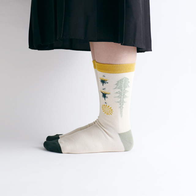 植物學 襪子 ｜日本STUDY HOLIC