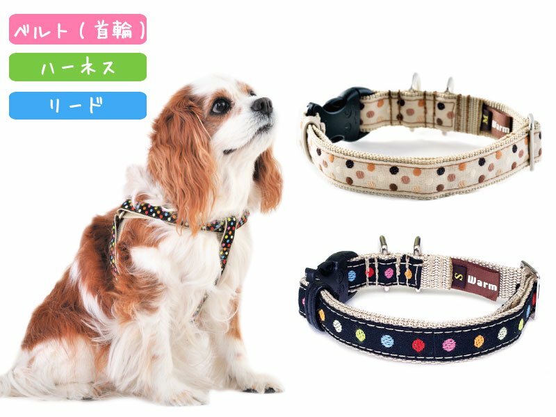 【WHCY】Harness / Collar - Dot
