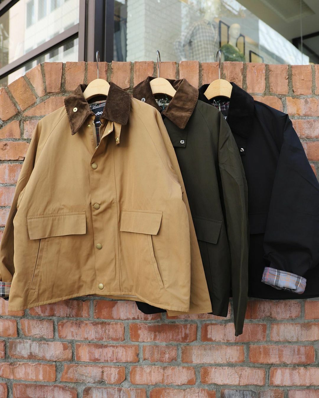 BARBOUR / BORROWDALE