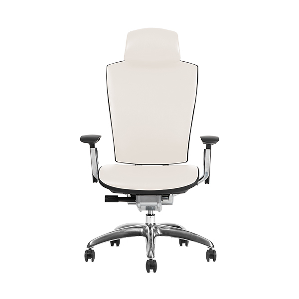 Backbone Backbone / Whale 鯨座人體工學旗艦椅(高彈性網布) 第 5 張圖片｜三峽麥克風