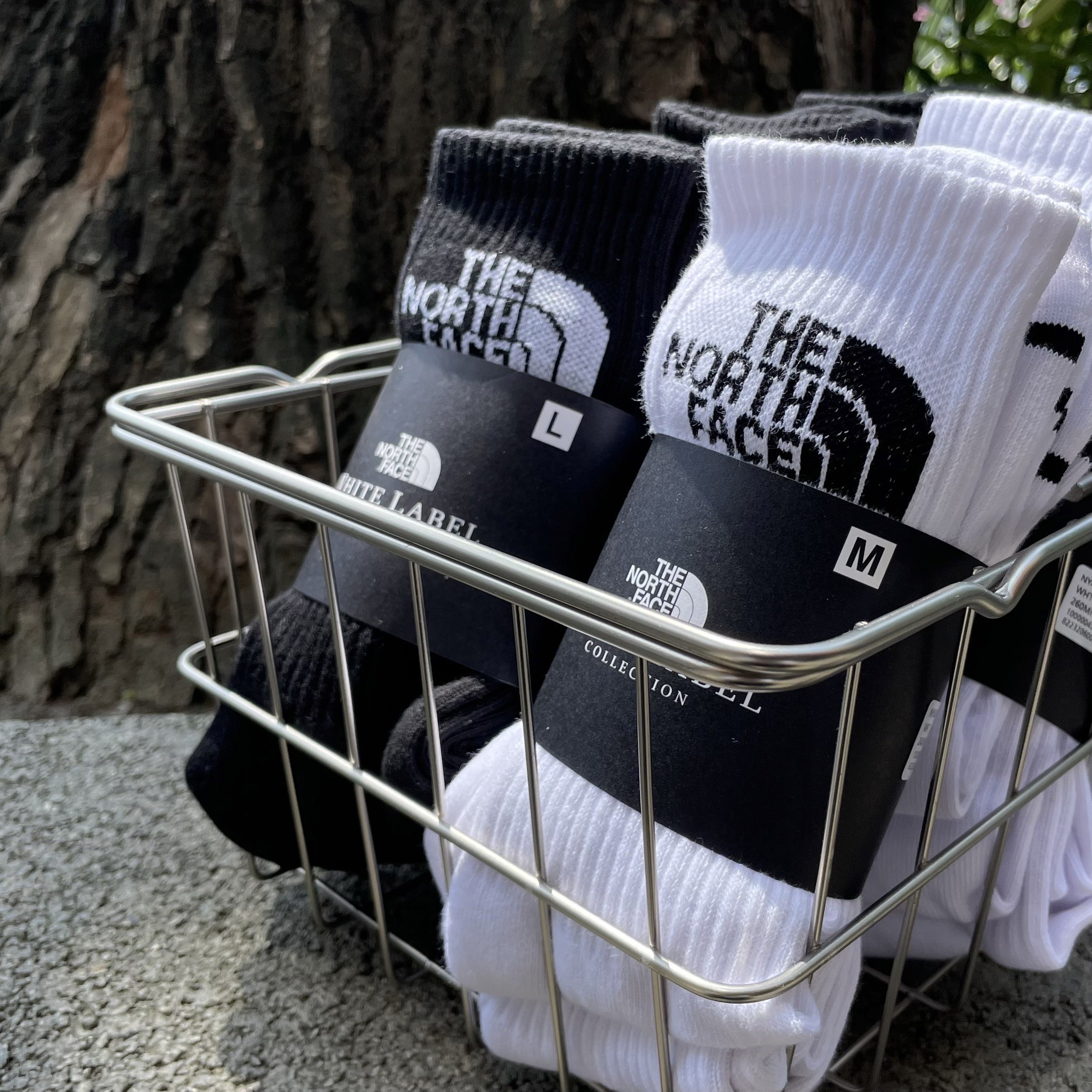 THE NORTH FACE 北臉 經典款 黑白 長襪